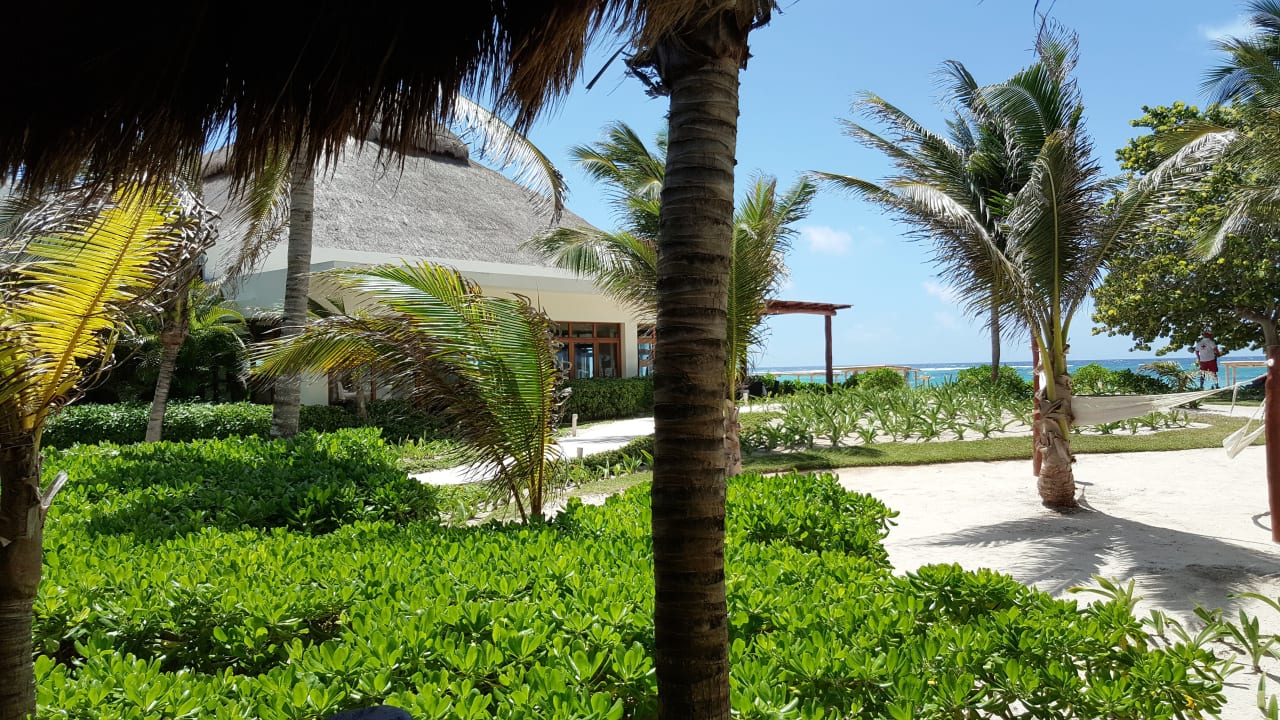 Gartenanlage Akumal Bay Beach & Wellness Resort