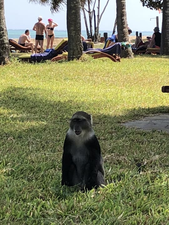 Sonstiges Neptune Paradise Beach Resort & Spa