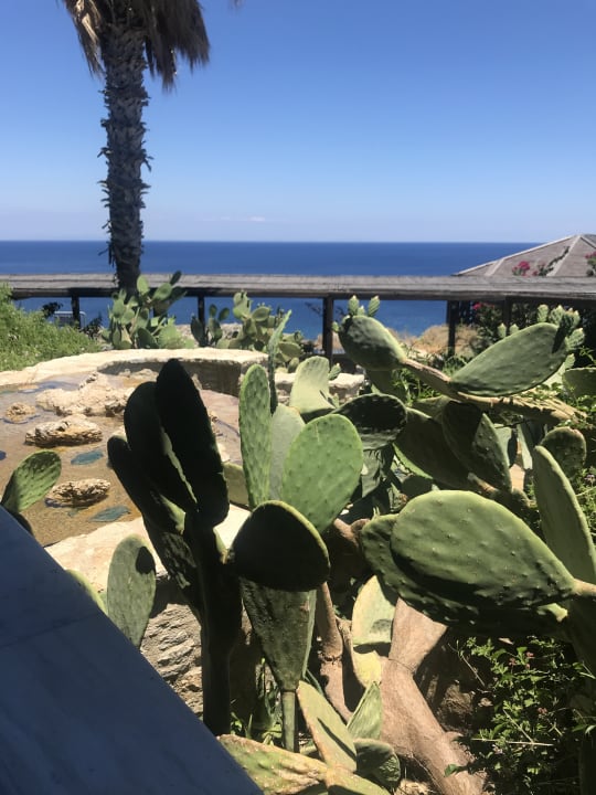 Ausblick Hotel Kalithea Horizon Royal