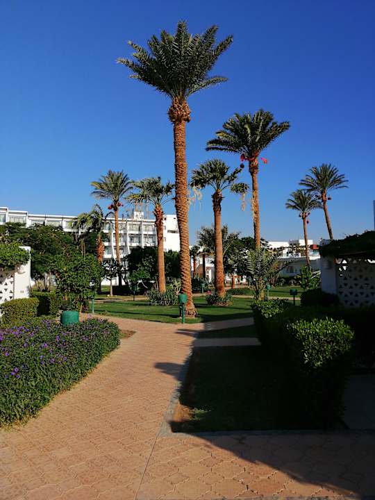 Gartenanlage Shams Safaga Resort