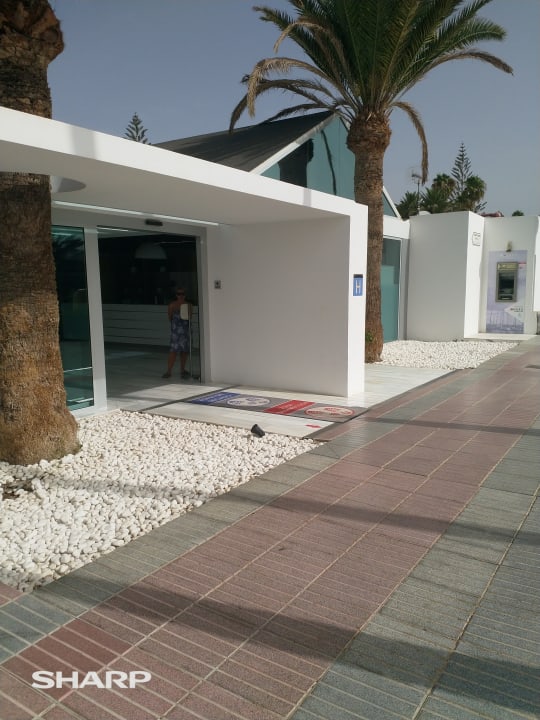 Sonstiges Canary Garden Club