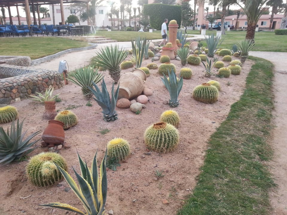 Garten Beach Albatros Resort