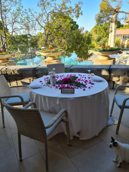 Gastro Xanadu Resort Hotel