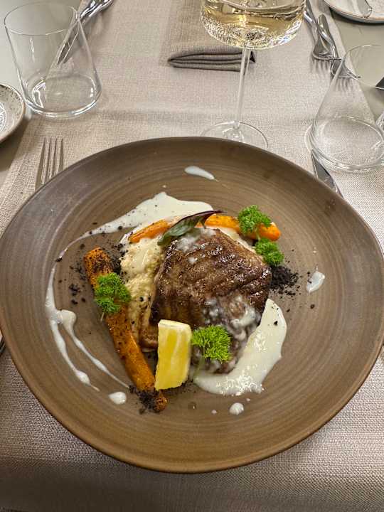 Gastro GRIFID Noa
