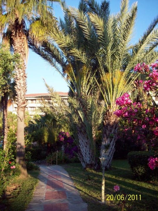 Im Garten Hotel Defne Garden