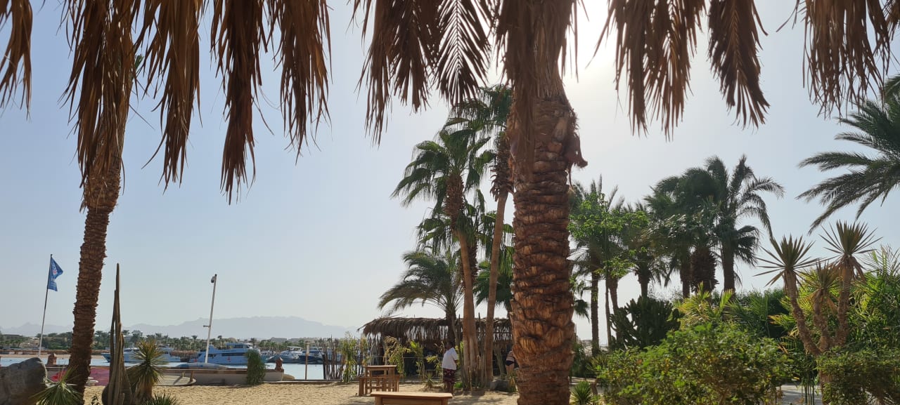 Strand Fort Arabesque Resort, Spa & Villas