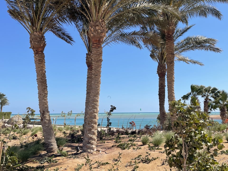 Ausblick The Chedi El Gouna