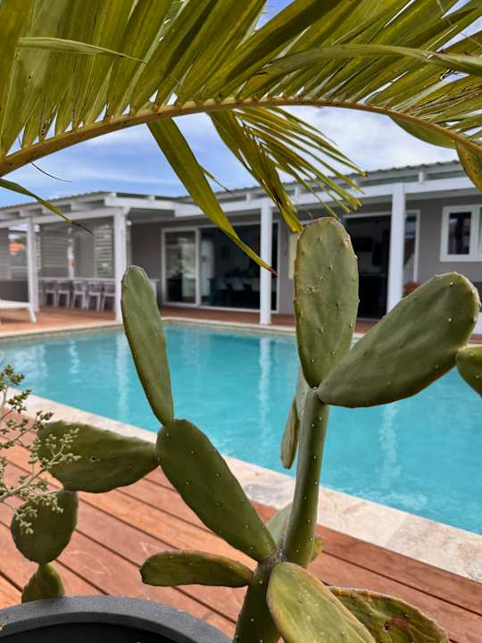 Pool Boutique Hotel JT Curacao