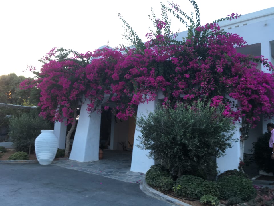 Sonstiges Knossos Beach Bungalows Suites Resort & Spa