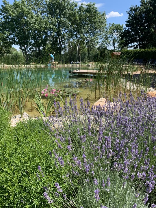 Gartenanlage Hotel VILA VITA Pannonia