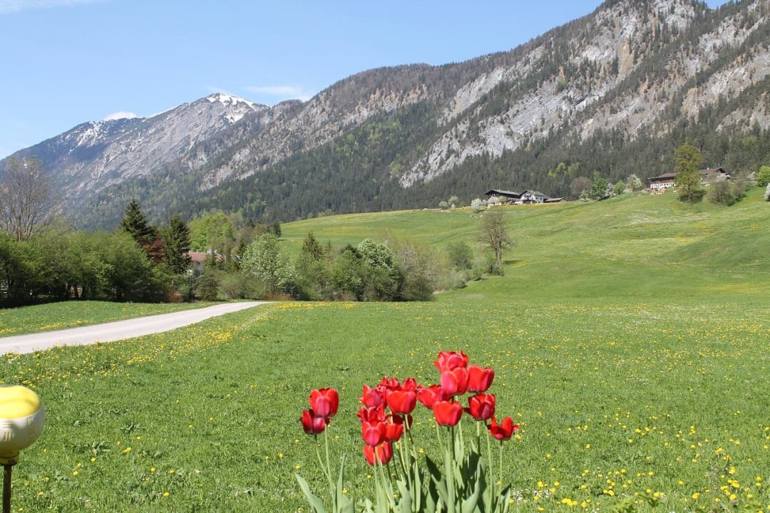 Ausblick vom Garten! Hotel Kraftquelle Schlossblick
