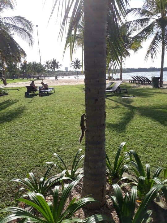 Gartenanlage Amaya Beach Resort & Spa Passikudah