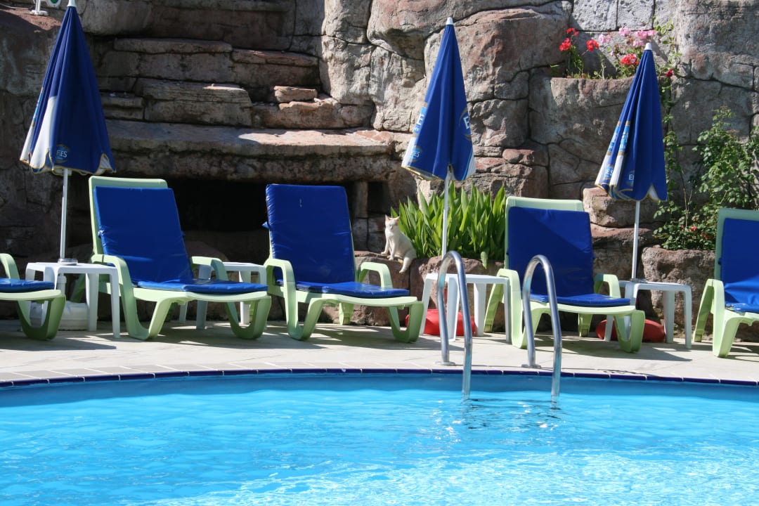 Liegen am Pool La Vita's Hotel