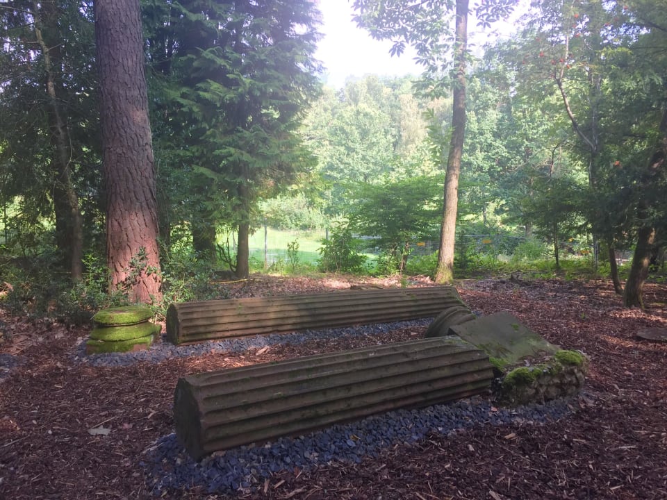 Garten Dorint Hotel Frankfurt/Oberursel