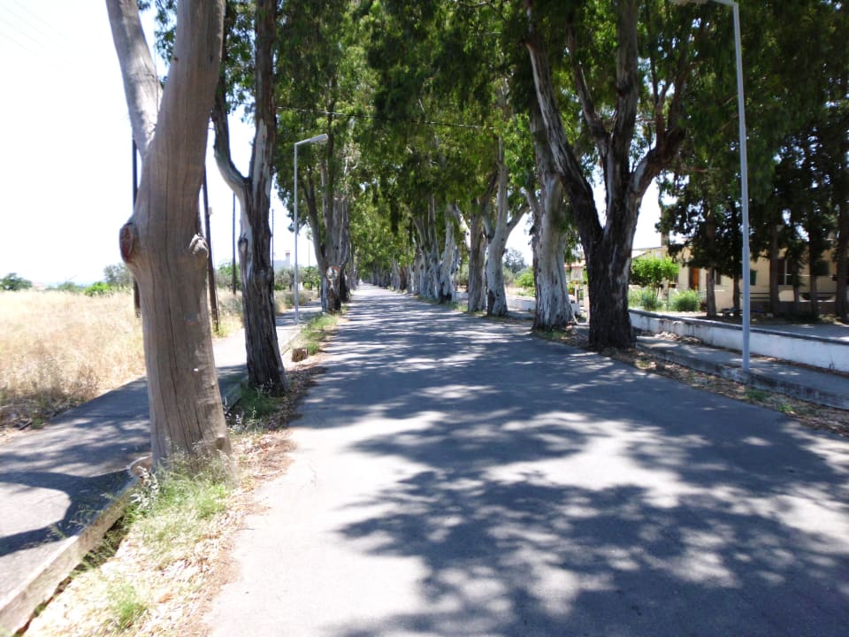 Die Allee Hotel Golden Odyssey