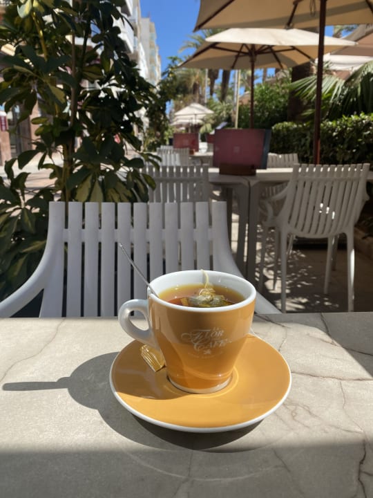 Gastro Hotel Marsol