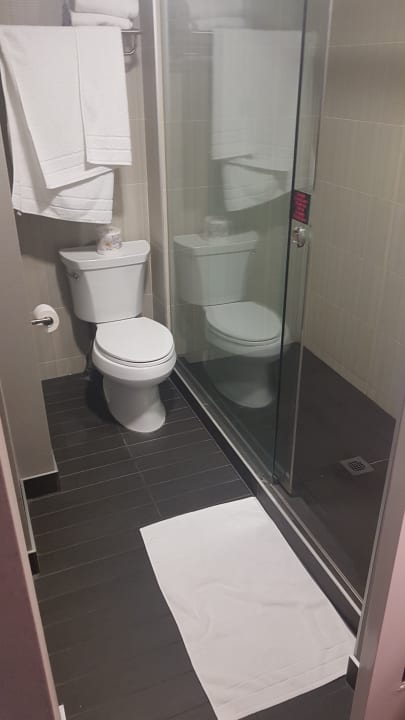 Zimmer Aloft Hotel Calgary University