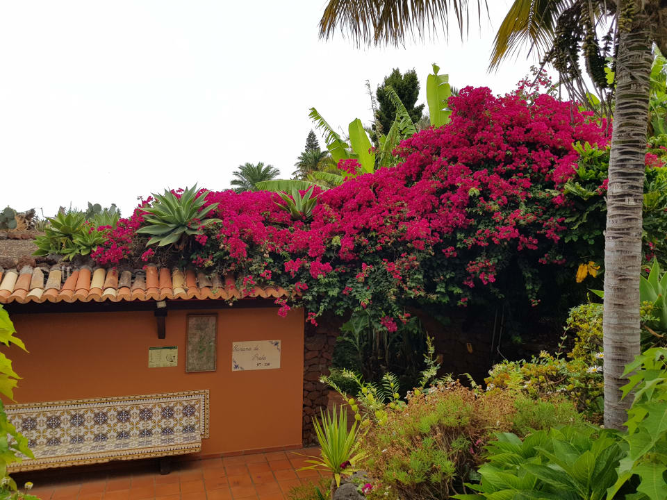 Gartenanlage Hotel Quinta Splendida Wellness & Botanical Garden