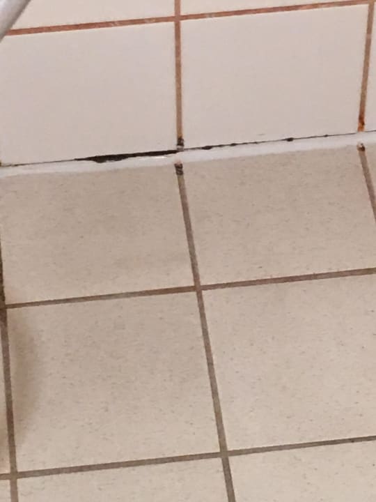 Badezimmer nicht schön Dorint Hotel Würzburg