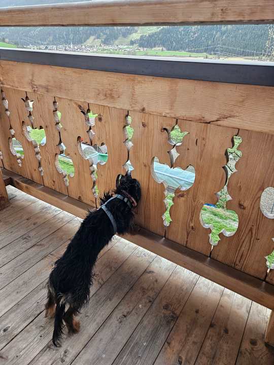 Ausblick Bauernhof Peilberghof