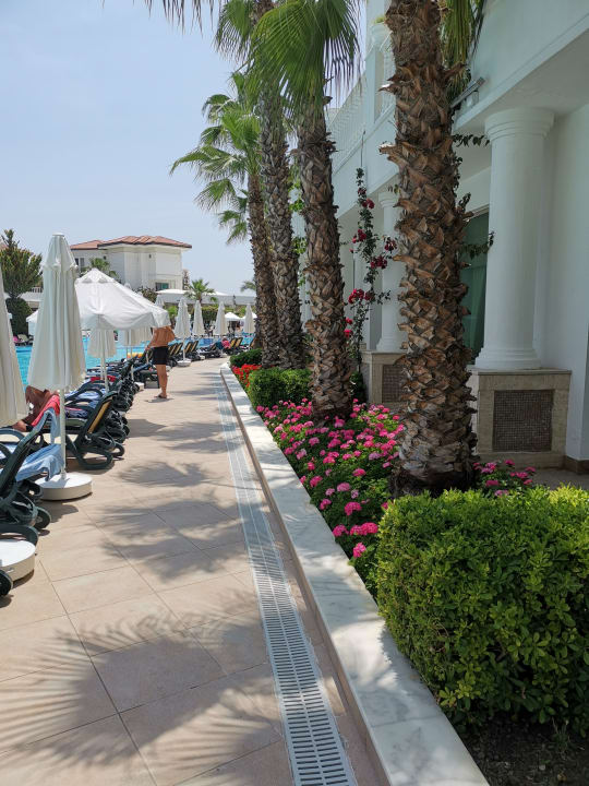 Pool Alba Queen Hotel