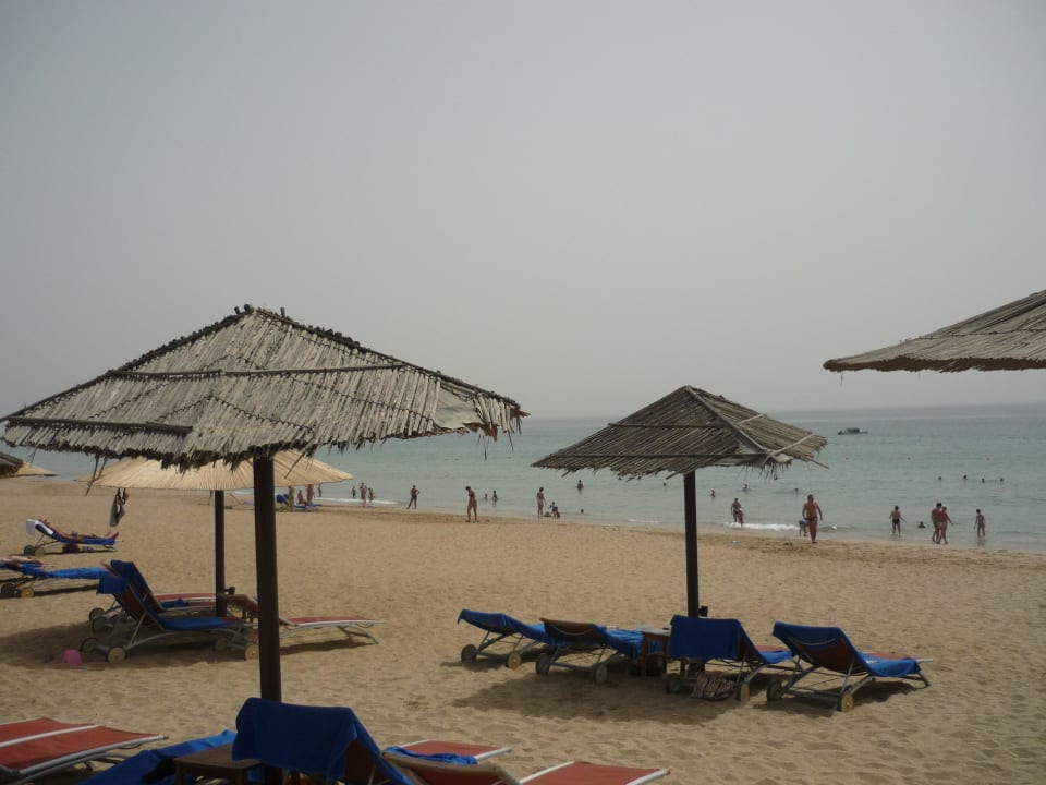 Hoteleigener Strand Miramar Al Aqah Beach Resort