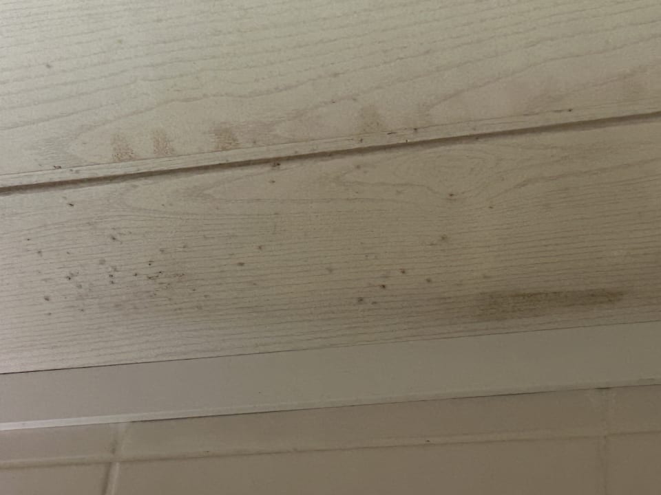 Zimmer Ferienwohnungen Ferienpark Weissenhäuser Strand