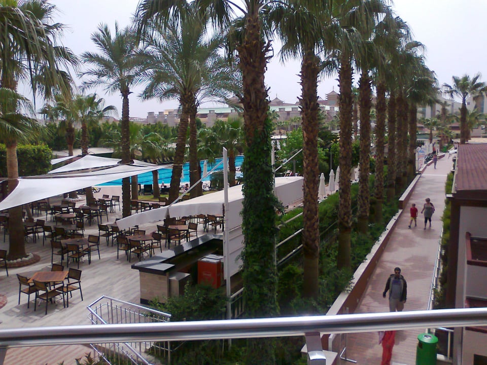 Poolbar  Hane Family Resort