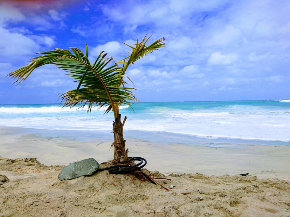 Strand Hotel Riu Karamboa