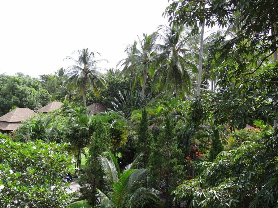 Gartenanlage The Fair House Beach Resort