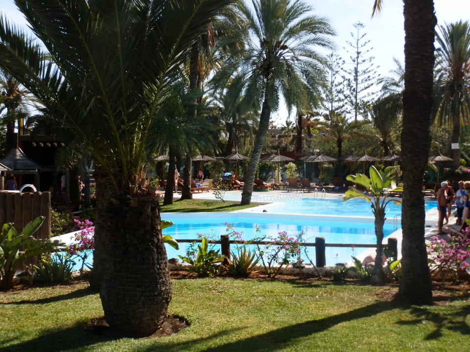 Pool HL Miraflor Suites Hotel