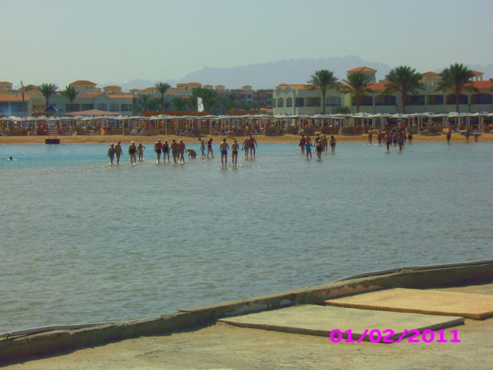 Strand vom Meer aus gesehen  Pickalbatros Dana Beach Resort - Hurghada