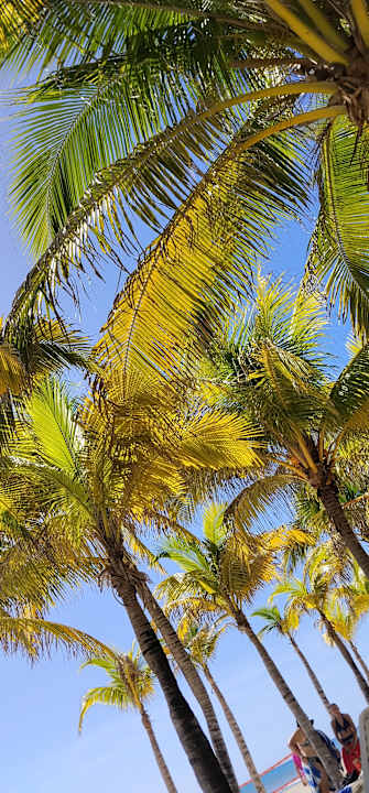 Strand Viva Azteca by Wyndham - All Inclusive Resort