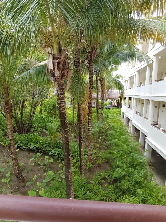 Gartenanlage Akumal Bay Beach & Wellness Resort