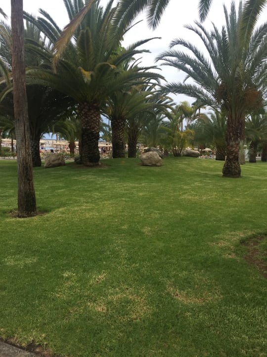 Gartenanlage Hotel Riu Gran Canaria
