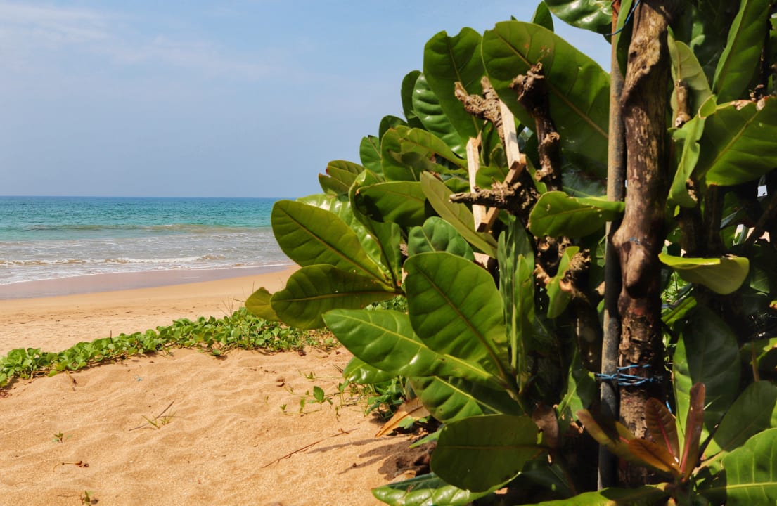 Strand Hotel Bentota Village