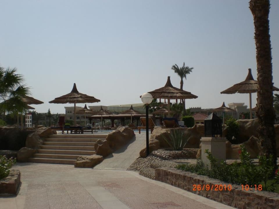 Вид на бассейн Beach Albatros Resort