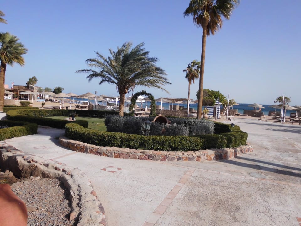 Gartenanlage Eagles Paradise Abu Soma