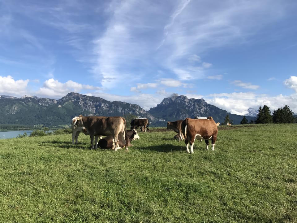 Außenansicht Ferienwohnungen Salenberghof