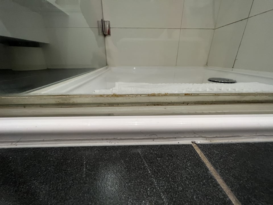 Zimmer THE GRAND Ahrenshoop