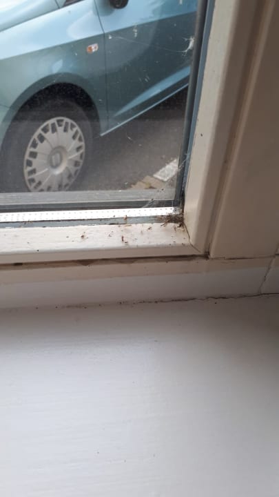 Zimmer NH Hirschberg Heidelberg