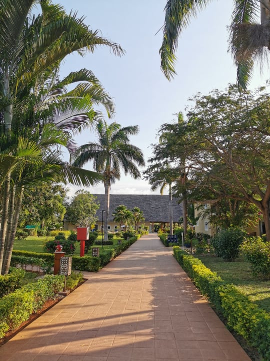 Gartenanlage TUI Blue Bahari Zanzibar