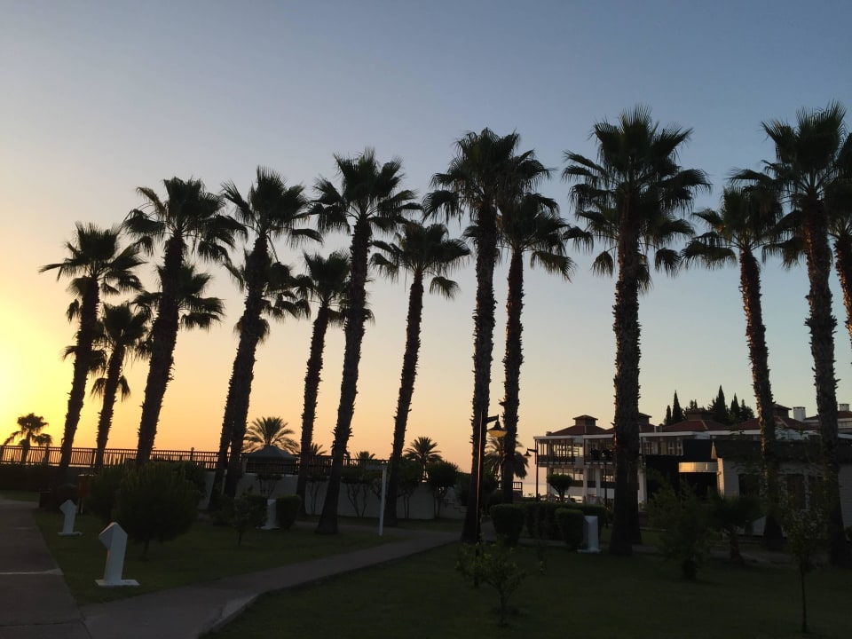 Ogród AQI Hydros Club