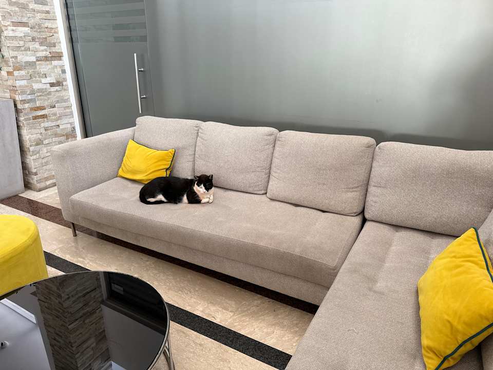 Lobby Asterias Beach