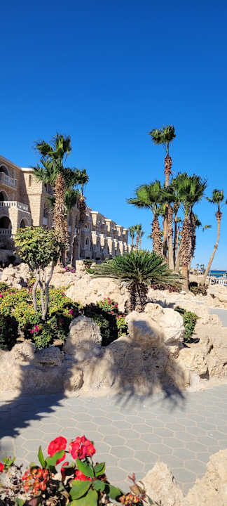 Gartenanlage Pickalbatros Citadel Resort