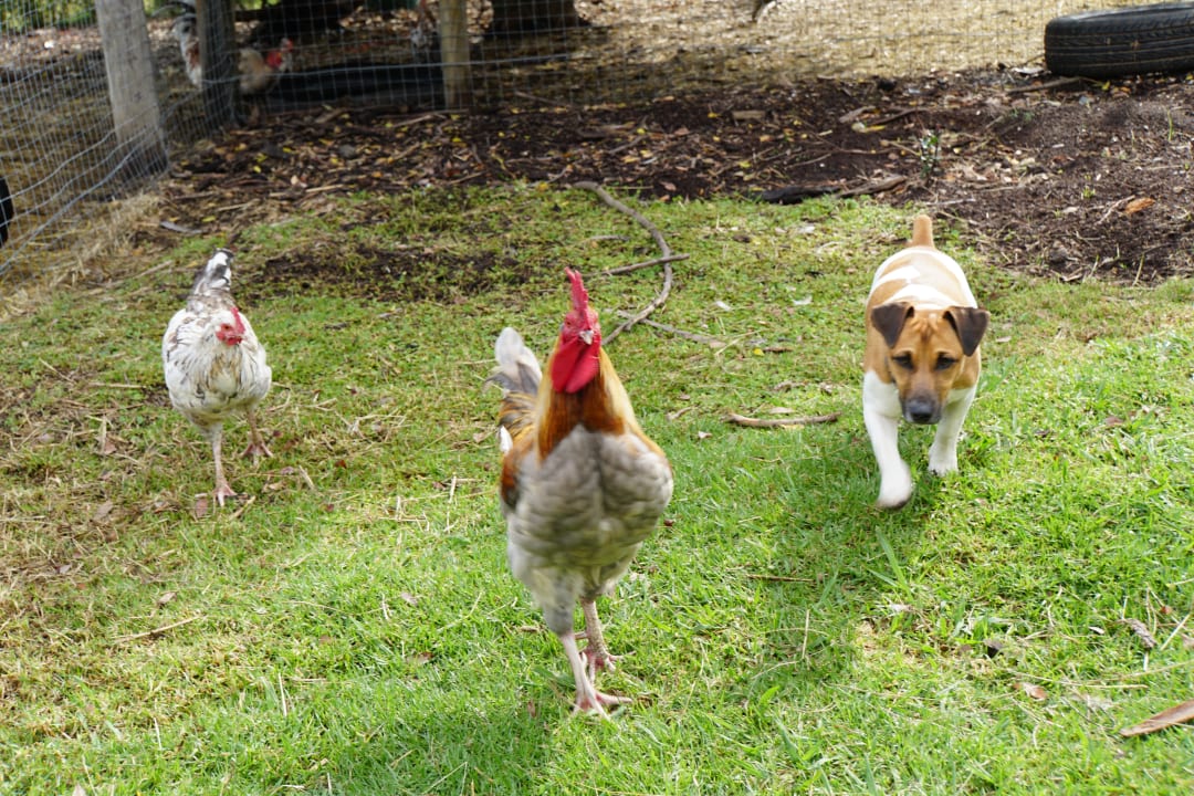 Sonstiges Hotel Tamodi Lodge