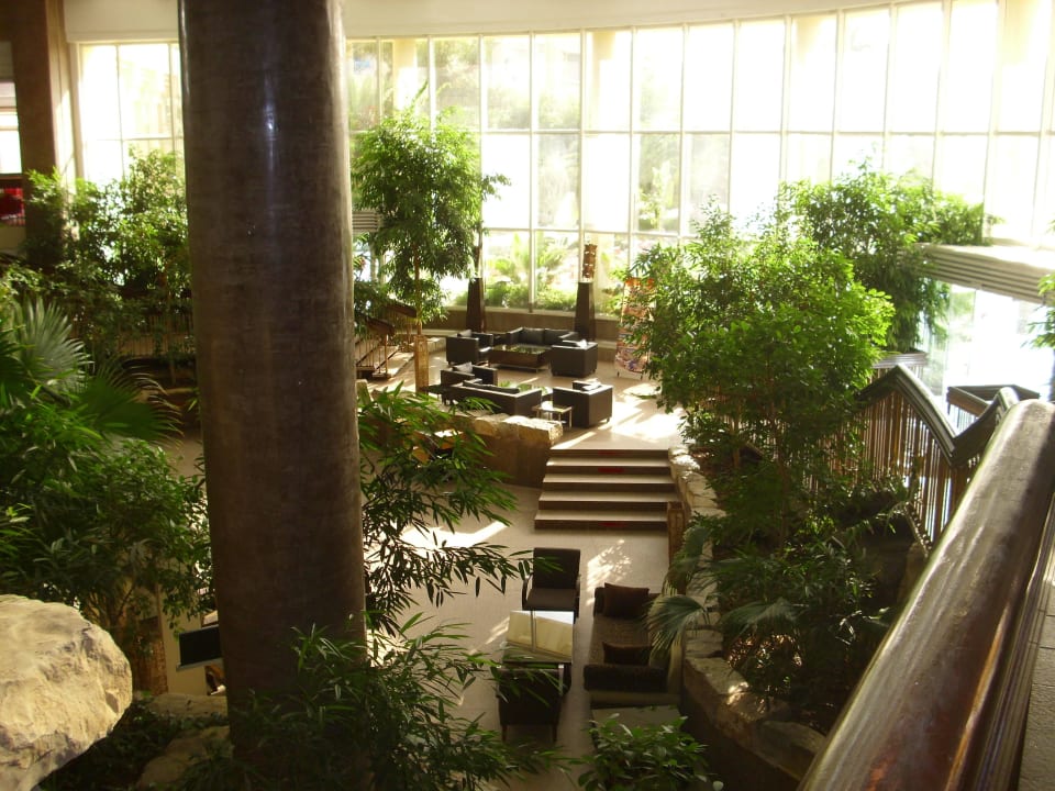 Tolle Lobby TUI MAGIC LIFE Africana