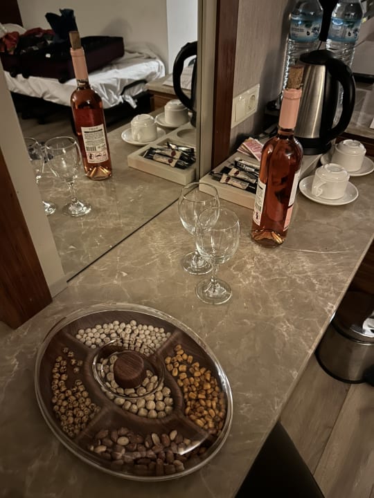 Zimmer Well Palace Side