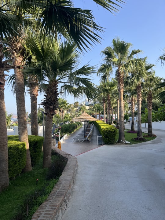 Gartenanlage TUI MAGIC LIFE Bodrum - Adult Only (16+)