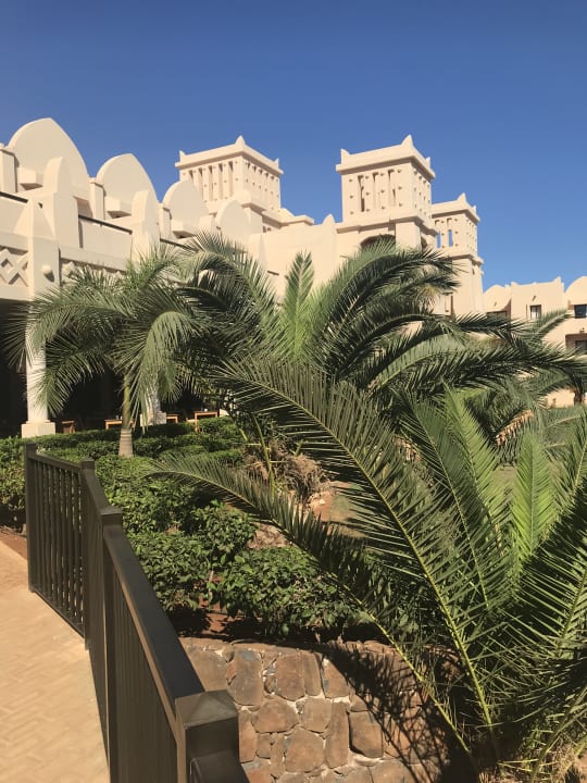 Gartenanlage Hotel Riu Touareg Curral Velho Holidaycheck